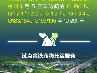 宠物猫狗能坐高铁了！铁路12306推出宠物托运功能：将在这些车次试点！