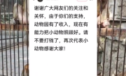 20元门票近十年未涨价！深山动物园请网友不要打钱了！