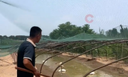 全国体感超45℃区域达到最大！河南网友：养鹅十多年头一次见鹅热死在水里!