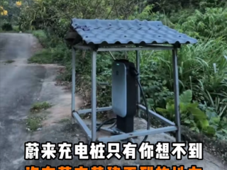 蔚来车主在山沟里安了一根充电桩 免费共享！网友：真新时代赛博土地庙！