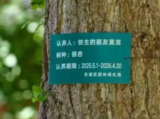 莫言真的在地坛认养了一棵银杏树！