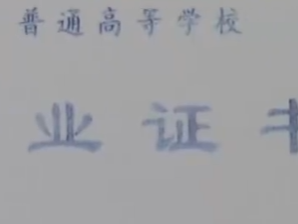 女子用假文凭入职被发现后起诉索赔 法院判了！