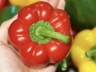 女子跟风女星生吃彩椒碗：结果感染钩虫！