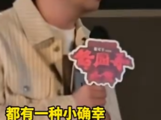 雷佳音:我没真打章子怡！
