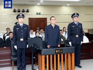 紫光集团原董事长赵伟国一审被判死缓！造成损失超14亿元！