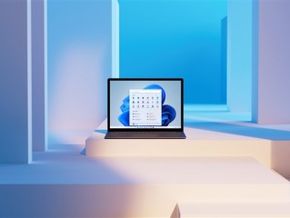 部分西部数据SSD用户仍无法升级Win11 24H2！微软也要背锅!