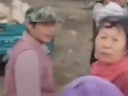 农民突发脑溢血 上百村民帮忙收玉米 网友:太暖心了!