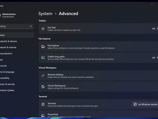 Win11设置调整！微软要把“开发者选项”改为“高级设置”：新增长路径开关！