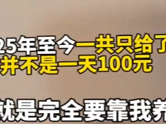 将饭盆扣在妻子脸上！男子质疑妻子两个孩子1天100不够吗？