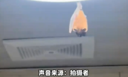 开饭了！网友家中惊现“大菊头蝠”：M码翅膀包不住XXL身体！